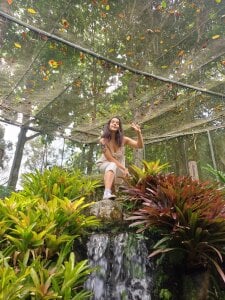 NathySweet Butterfly Garden 圖片 6