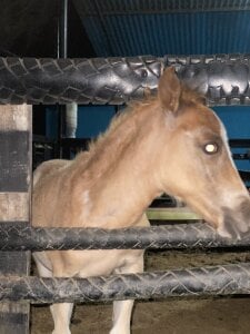 Kobayashiyan_Kun_uWux Public Foto 3