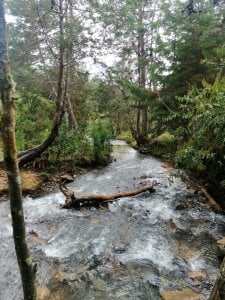 blake_cruz08 observa mas de mi personalidad  9. fénykép