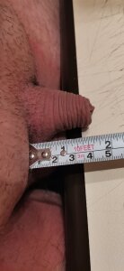 geriker Public Pic 2