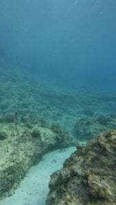 Andrew_Johnnson Mar Pic