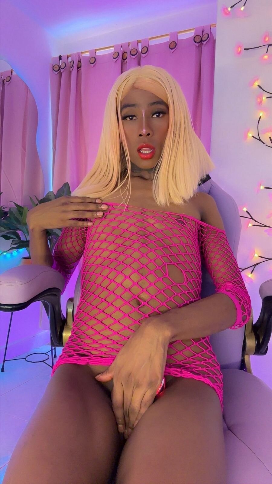 Трендове зображення  1507 Mara_royal