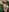 GingerSnap33 Live Stream Photo Requests Pic 6