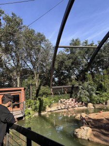 AleMarquxz Public Pic 3