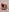 NaomiSainz 𝕯𝖔𝖒𝖎𝖓𝖆𝖓𝖙 Pic 3