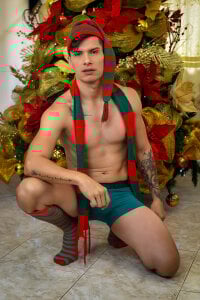 Juanka_ HAPPY HOLIDAYS, GUYS! 🎄 Pic