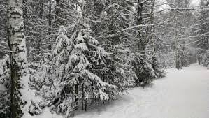 AngelenaCrittendon wiintert time  2টি ছবি