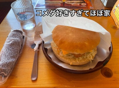 HIMAWARI_88ch Public Pic 3