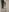Cute-Alice Naked selfies Photo 2