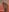 SOFYandMIKE Sofochka's Legs (photos are added periodically) Pic 7