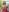 nahomi_sweett Enjoy Nahomi's sexy body Pic