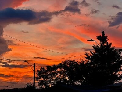 👓 de Felicity_Hops  2 Imagens