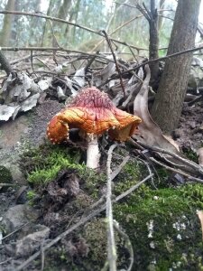 Namtarak Art 🎨 Foto 6