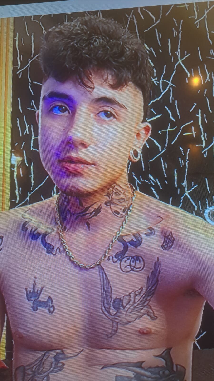 Foto  7181 de Patrick_Rango – em alta