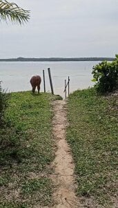 LeoaAnja Public Gambar 8