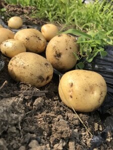 AI_channnnnのPublicの 5枚の写真