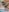 Gre3k_god Vainy Pink head Pic 6
