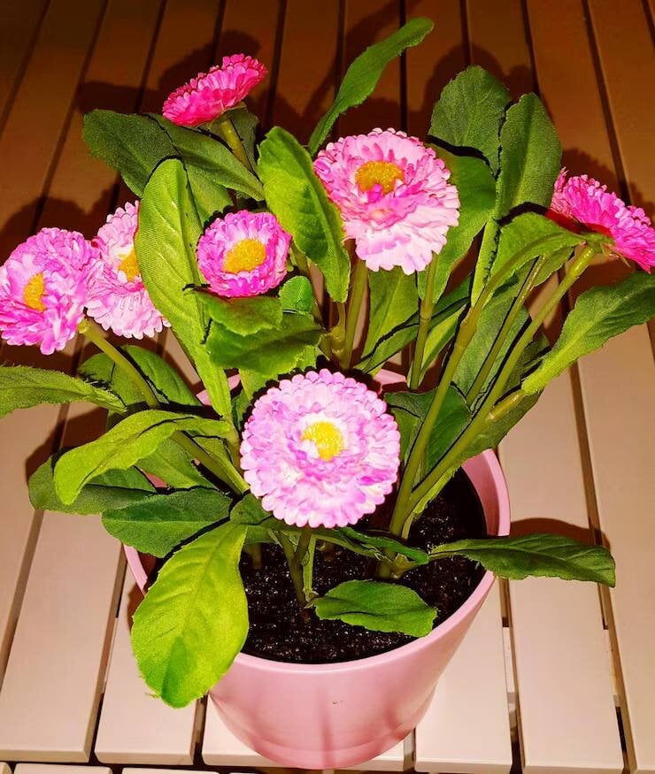 Kleo_Godde Δημοφιλής εικόνα 277