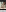 yu_2025 脱衣場で立バックアングル//お風呂シャワニー♡FC限定！顔出し画像🫧🛁🚿 Pic