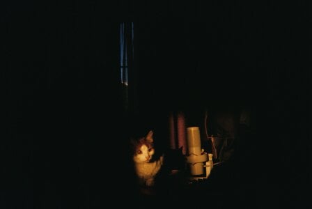 RedLipse just my life Pic 7