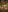 Dann_dan PLAYING IN THE FOREST Pic 7