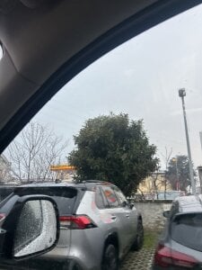 Pslungo Public Poză