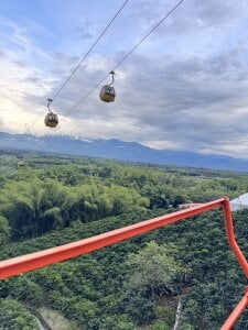 Ahri_Elderwood 🇨🇴Parque del café ☕️✨ Εικόνα 7