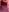 raingurlboobs照片 8