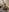 EmoDream1998 Lingerie 사진 8