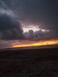 faithfulchic Flowers Pic