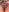 Asian_Asami Hairy and Wet Asian Pussy 💦 Photo 8