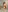 Rachel_Jean tease you Pic 5