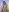 marc_and_ema Naked Ema Pic 9