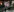 zultanalambertmy chastity slave图片 2
