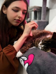 LiliBakery meow meow 🐈 Pic 3