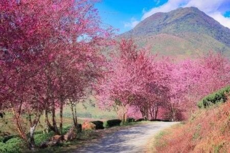 Eva_Meo Do you want to go with me? It's really beautiful. Fotka 2