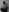 spoilme_gentlyblack&white nudes照片 3