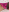 pinkrosaaapink thong on my hairy pussy照片