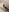KarolineNeuer My nude photo special for u Photo 2