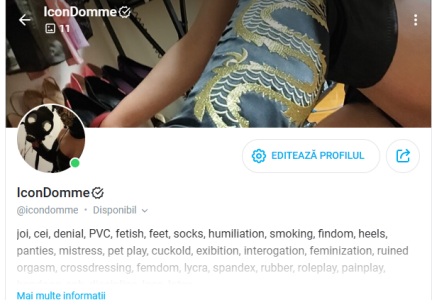 GoldenSasha vans รูป 