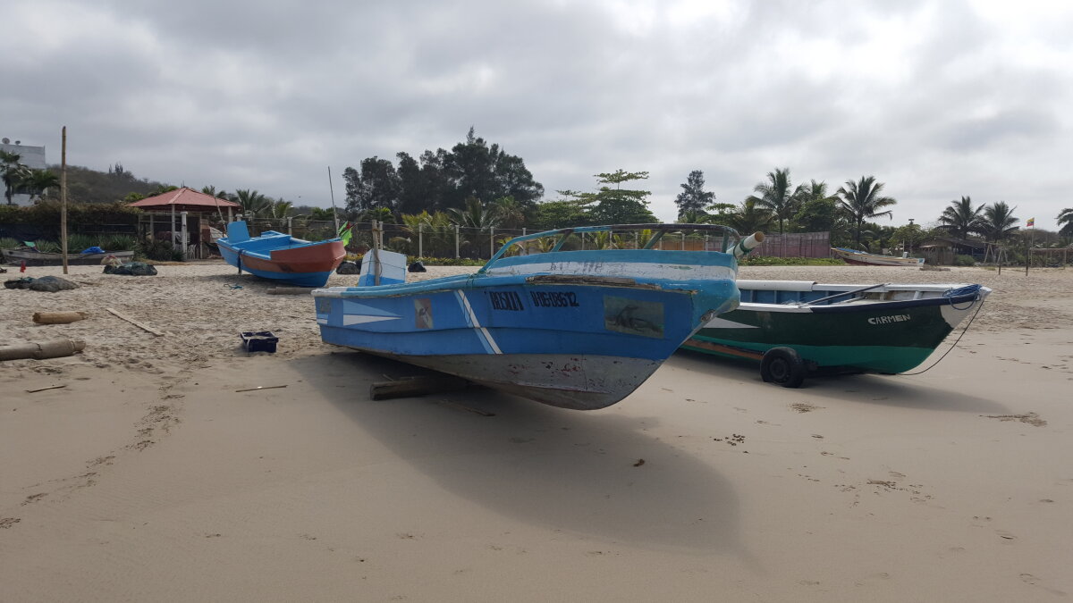 jmmy_cb 님의 트렌드 중인 사진  5735개