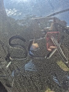 Sam_Sara kullanıcısının Au revoir novembre 🍂 albümü -  5 fotoğraf