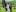 Alisha_Shy ride in the equestrian club Pic 2