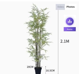 SoraYumeXXXのmy wishlist for the new year and January 9の 3枚の写真