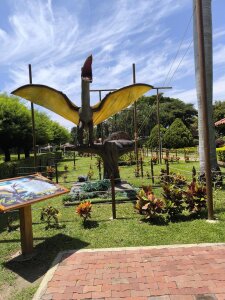 AlliciaKim trips Foto 9