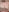_mi_tsu_ki_ 🧼🫧 Pic 7