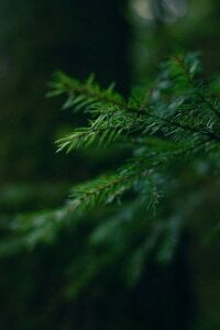 Mira_Fyre My work as a photographer صورة واحدة|Mira_Fyre My work as a photographer صورتان|Mira_Fyre My work as a photographer  8 صور|Mira_Fyre My work as a photographer  8 صورة