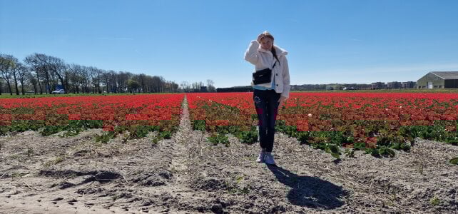 _Carrie_ Na polu tulipanów 🌷 Pic 2