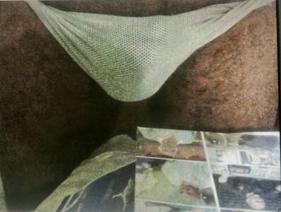 pito3pulgasdas Public Bilde 3