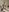 Naughty69Empress naughty ones Pic 9